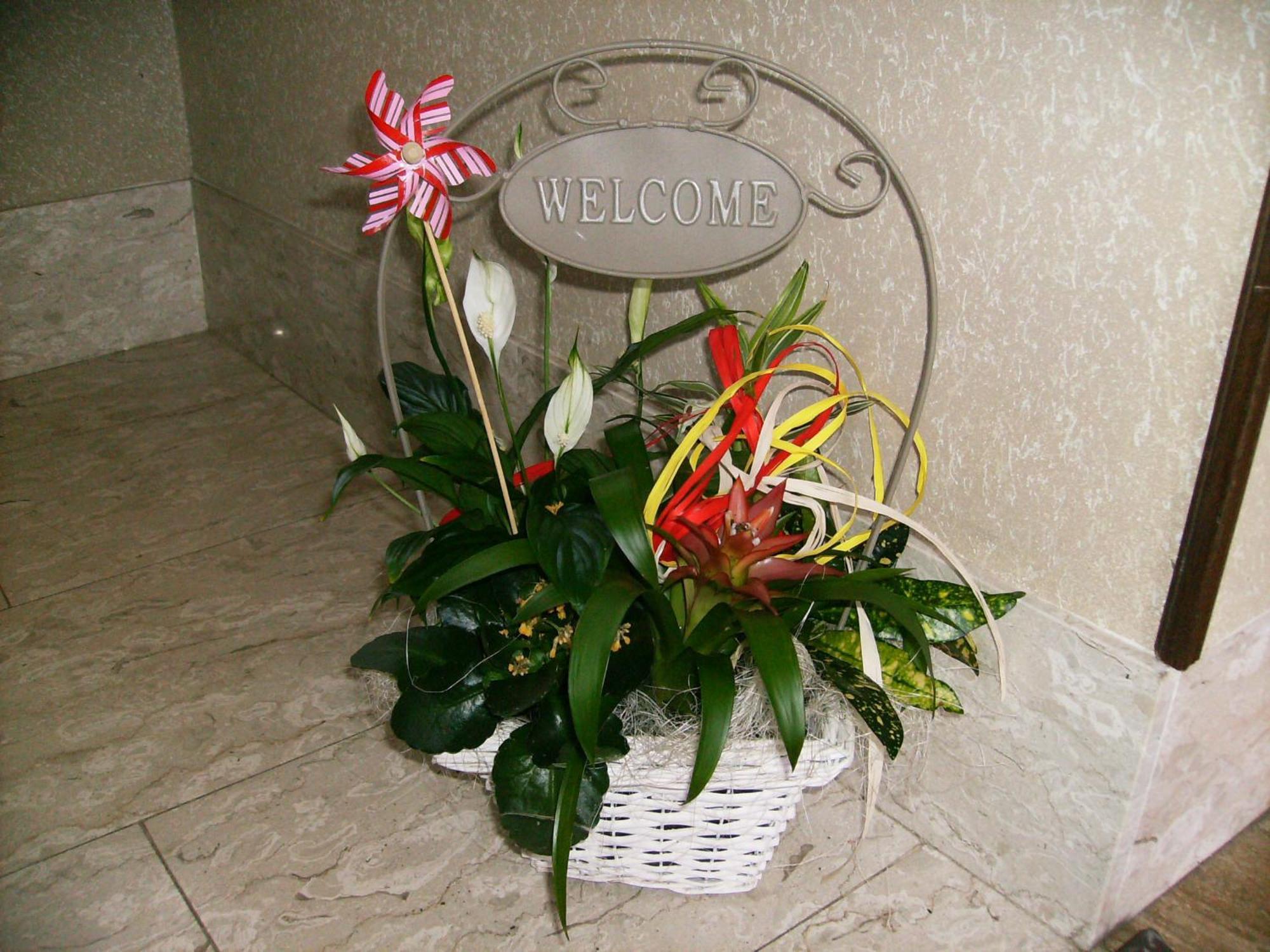 Il Barucin Bed & Breakfast Villar San Costanzo Luaran gambar
